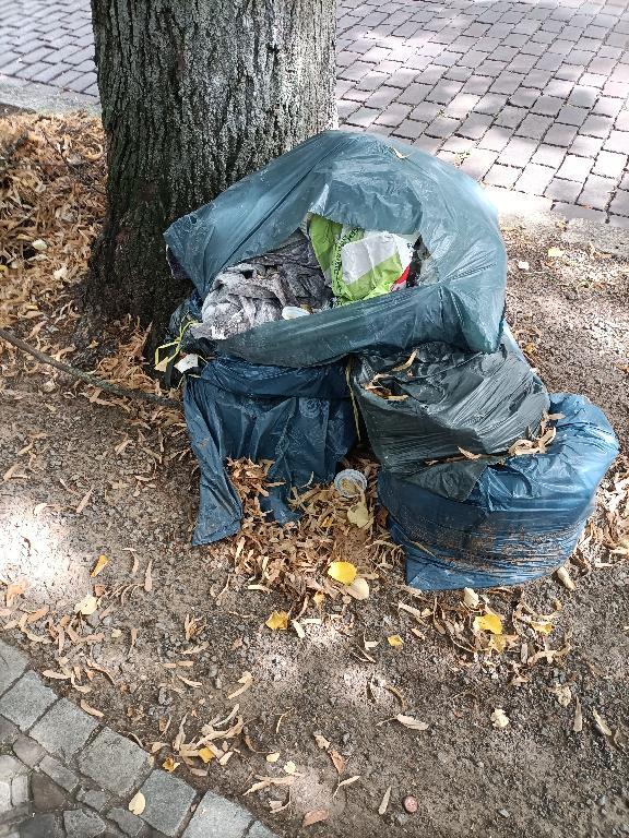 Foto zur Meldung: Abfall - Sonstiges