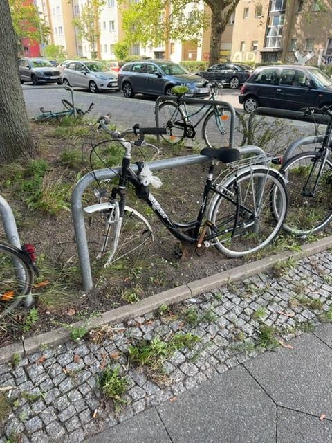 Foto zur Meldung: Abfall - Schrottfahrräder pr/ nicht vorhanden