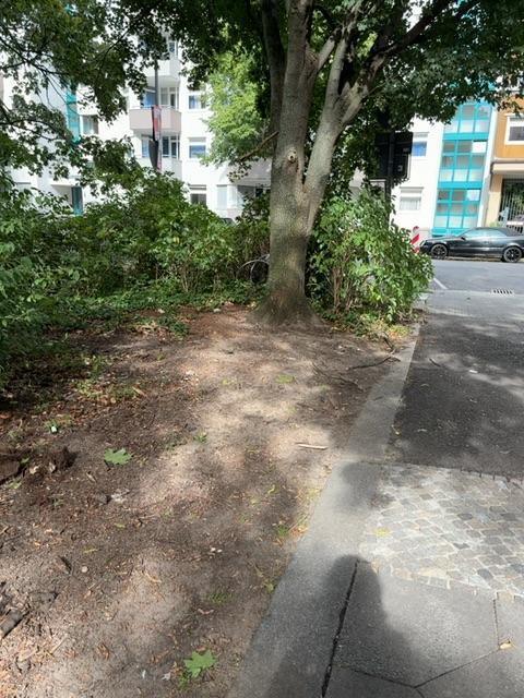 Foto zur Meldung: Abfall - Schrottfahrräder pr