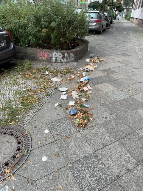 Foto zur Meldung: Straßenaufsicht - Mangelnde Straßenreinigung
