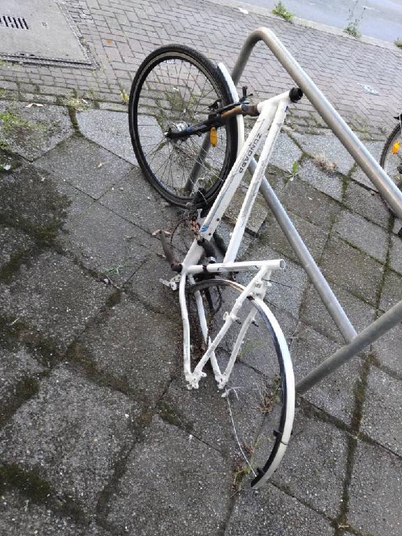 Foto zur Meldung: Abfall - Schrottfahrräder entsorgt
