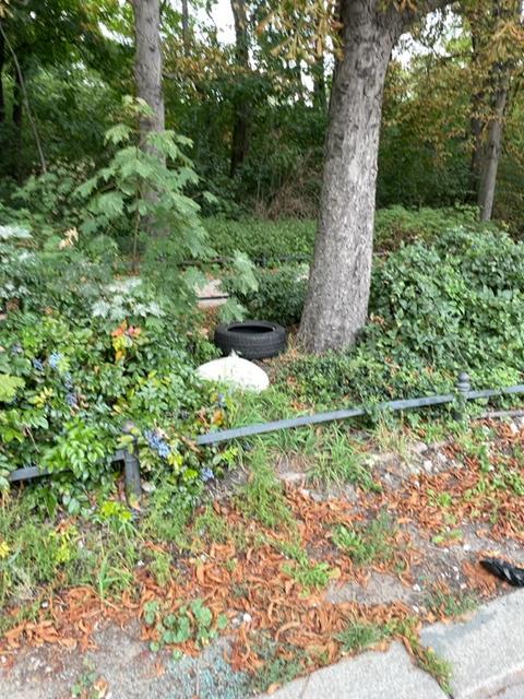 Foto zur Meldung: Abfall - Elektroschrott