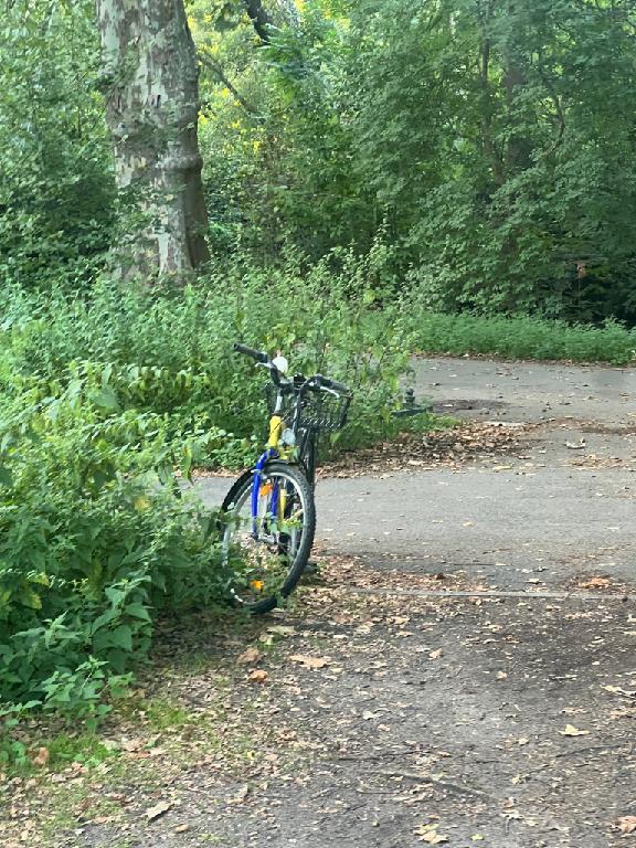 Foto zur Meldung: Abfall - Schrottfahrräder pr.