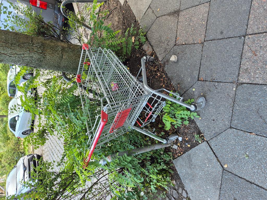 Foto zur Meldung: Abfall - Elektroschrott
