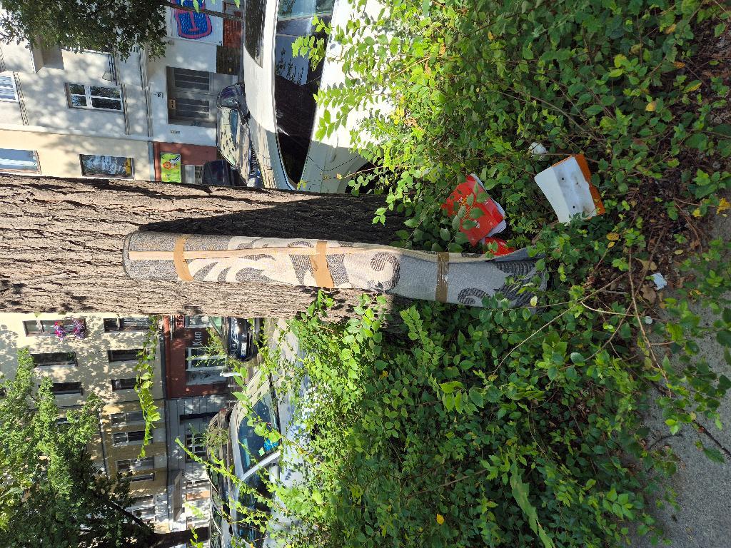 Foto zur Meldung: Abfall - Sperrmüll