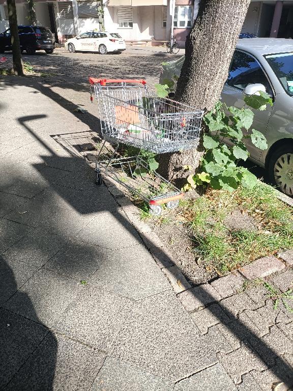 Foto zur Meldung: Abfall - Elektroschrott