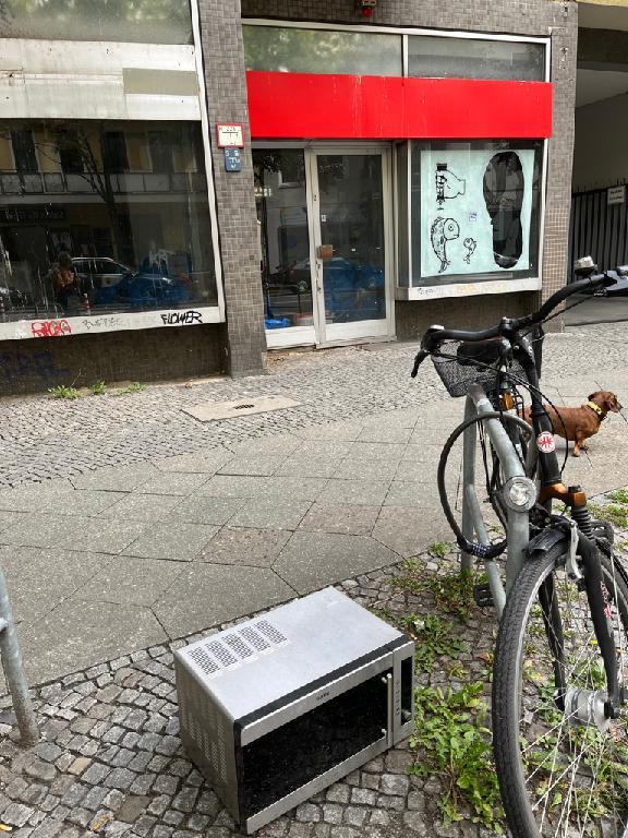 Foto zur Meldung: Abfall - Elektroschrott