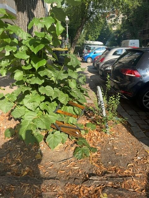 Foto zur Meldung: Abfall - Sperrmüll