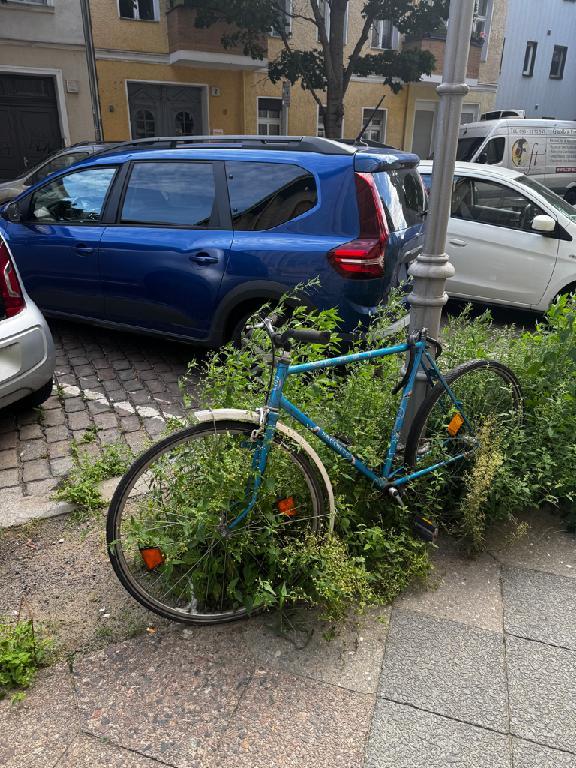 Foto zur Meldung: Abfall - Schrottfahrräder pr.