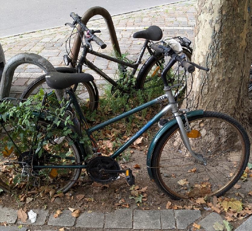 Foto zur Meldung: Abfall - Schrottfahrräder pr.