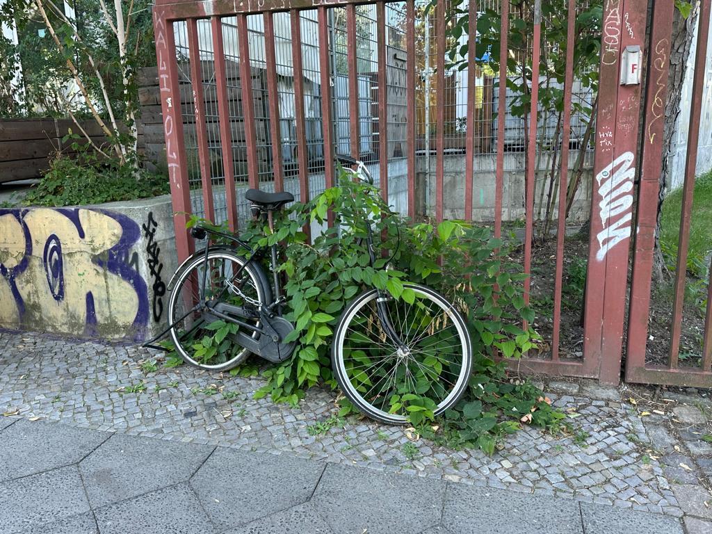 Foto zur Meldung: Abfall - Schrottfahrräder
