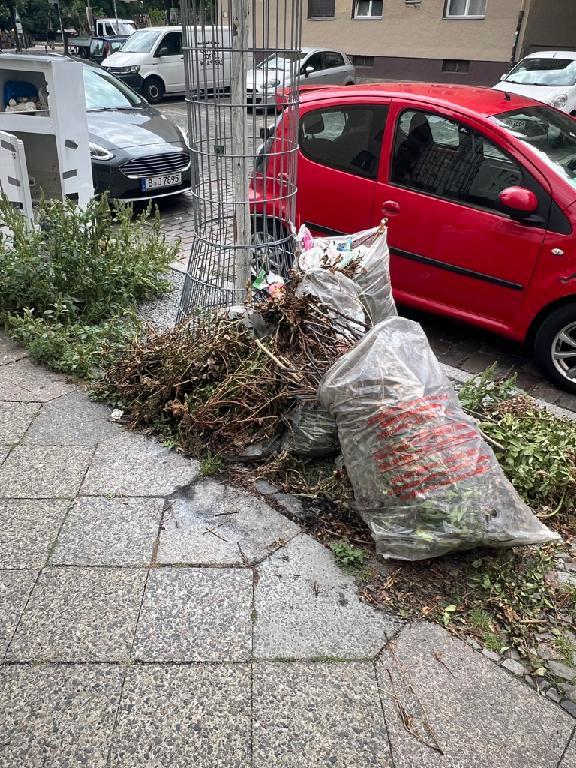 Foto zur Meldung: Abfall - Bioabfälle