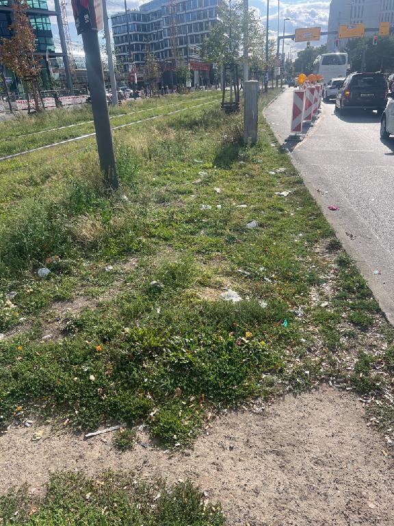 Foto zur Meldung: Straßenaufsicht - Mangelnde Straßenreinigung