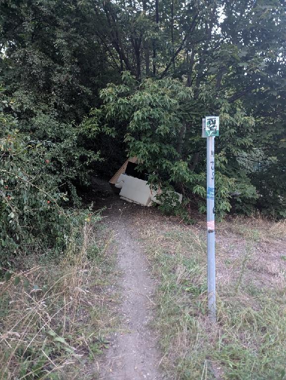 Foto zur Meldung: Möbel im Wald geworfen