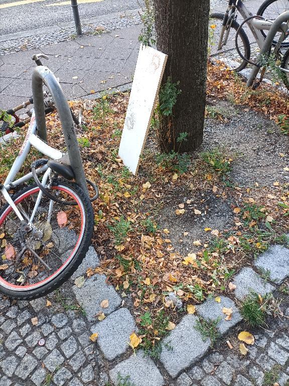 Foto zur Meldung: Abfall - Sperrmüll