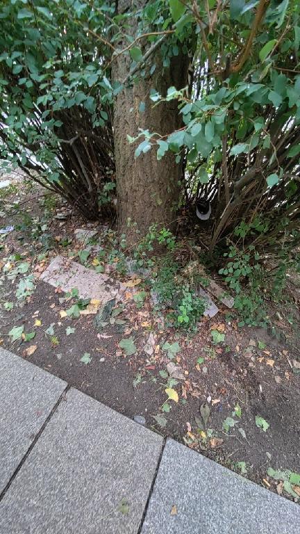 Foto zur Meldung: Abfall - Müllablagerung