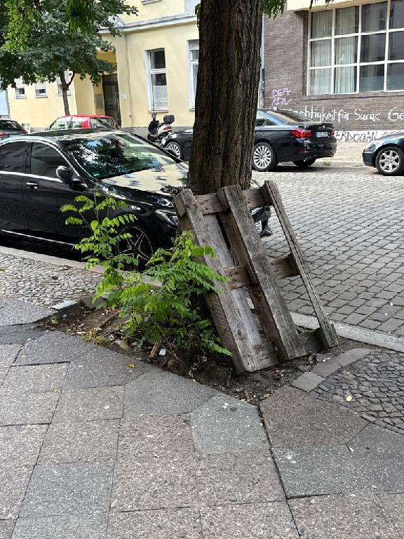 Foto zur Meldung: Abfall - Sperrmüll