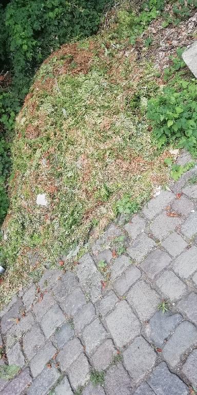 Foto zur Meldung: Abfall - Bioabfälle