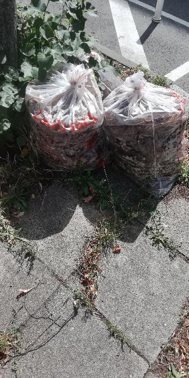 Foto zur Meldung: Abfall - Bioabfälle
