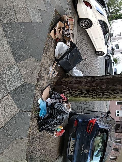 Foto zur Meldung: Abfall - Müllablagerung