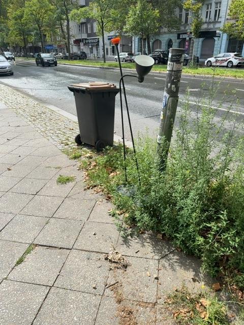 Foto zur Meldung: Abfall - Elektroschrott