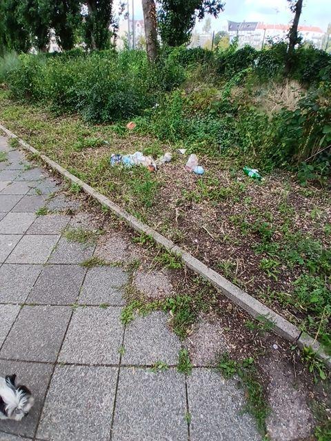 Foto zur Meldung: Abfall - Müllablagerung