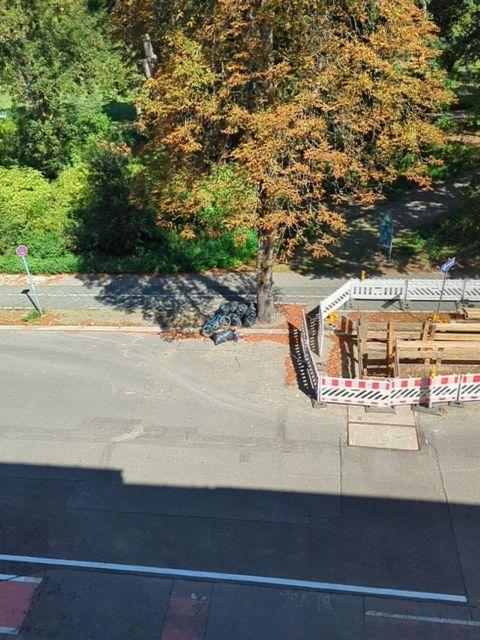 Foto zur Meldung: Abfall - Müllablagerung
