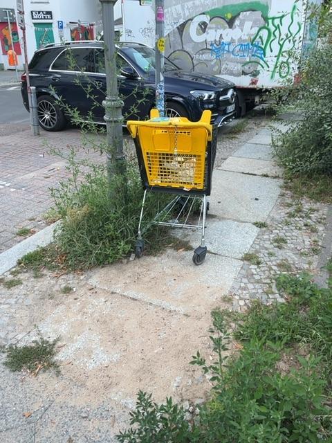 Foto zur Meldung: Abfall - Elektroschrott