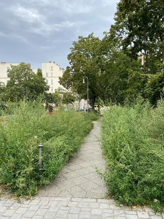 Foto zur Meldung: Straßenaufsicht - Gehölzschnitt an Bäumen, Büschen auf öffentlichem Straßenland