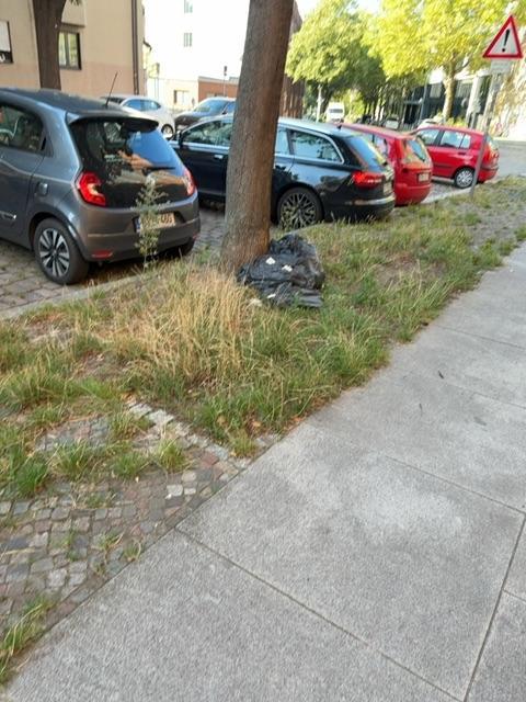 Foto zur Meldung: Abfall - Müllablagerung