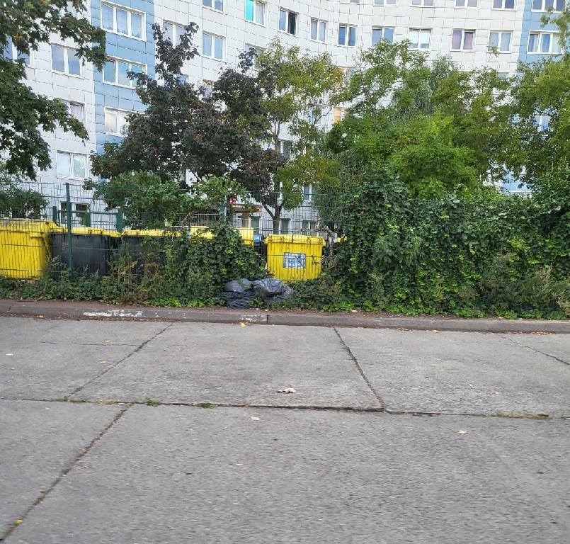 Foto zur Meldung: Abfall - Müllablagerung