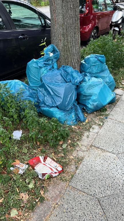 Foto zur Meldung: Abfall - Müllablagerung