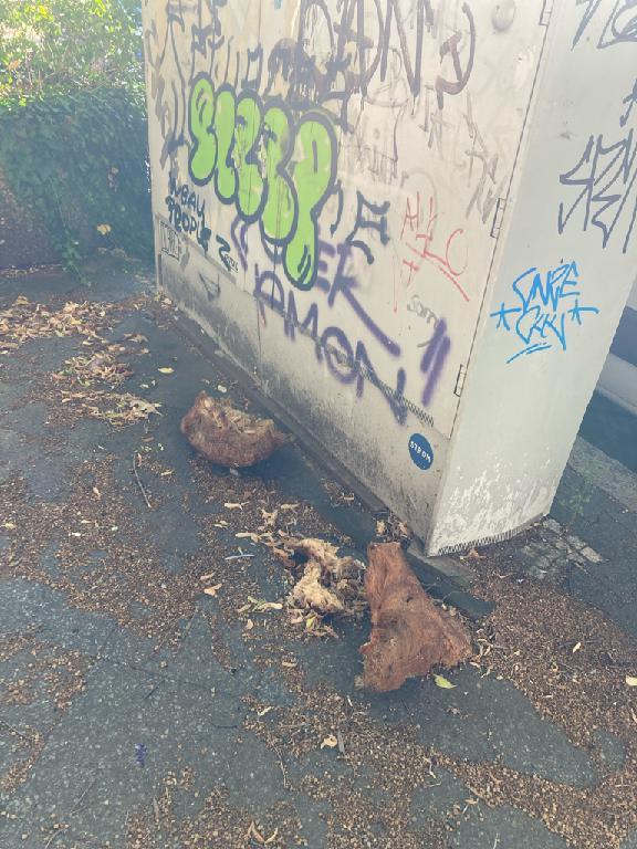 Foto zur Meldung: Abfall - Bauabfälle, Bauschutt