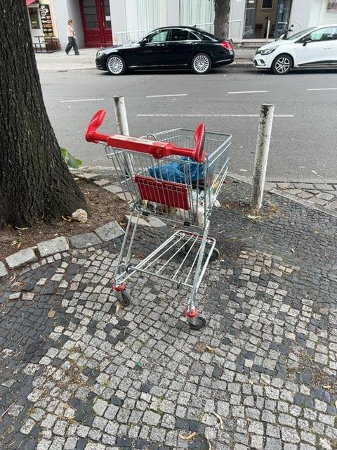 Foto zur Meldung: Abfall - Elektroschrott