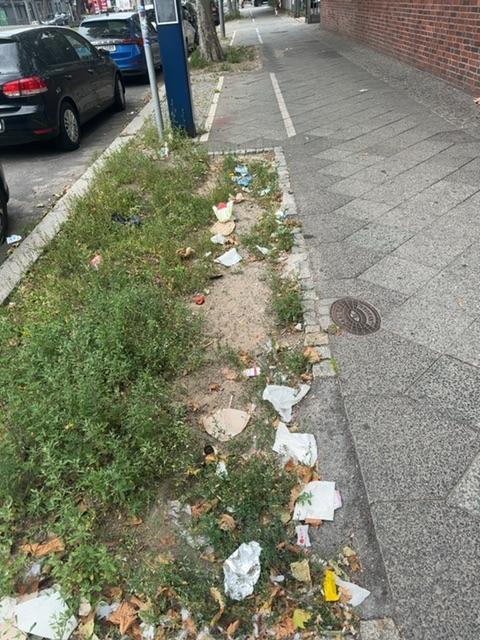 Foto zur Meldung: Straßenaufsicht - Mangelnde Straßenreinigung
