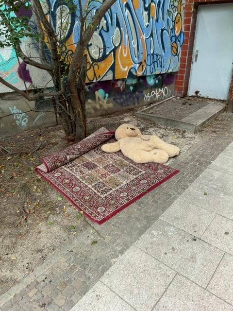 Foto zur Meldung: Abfall - Sperrmüll