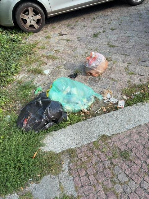 Foto zur Meldung: Abfall - Müllablagerung