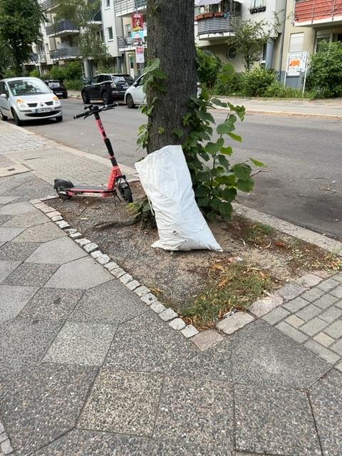 Foto zur Meldung: Abfall - Müllablagerung