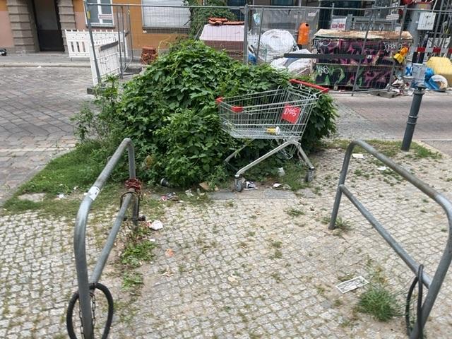 Foto zur Meldung: Abfall - Elektroschrott