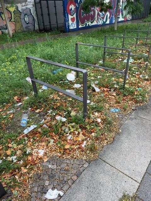 Foto zur Meldung: Straßenaufsicht - Mangelnde Straßenreinigung