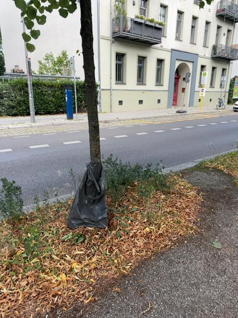 Foto zur Meldung: Abfall - Müllablagerung