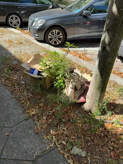 Foto zur Meldung: Abfall - Müllablagerung