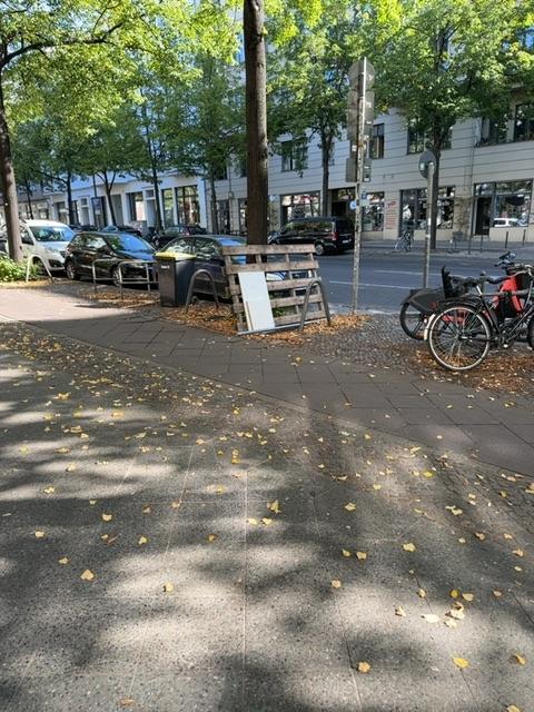 Foto zur Meldung: Abfall - Sperrmüll