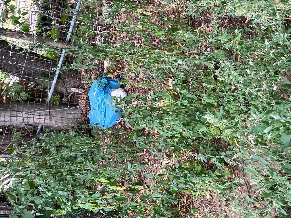 Foto zur Meldung: Abfall - Sperrmüll