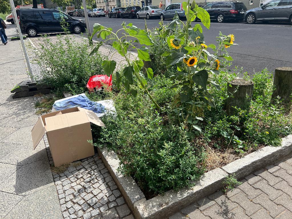 Foto zur Meldung: Abfall - Müllablagerung
