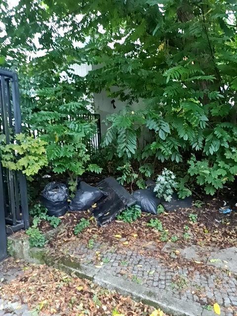 Foto zur Meldung: Abfall - Müllablagerung