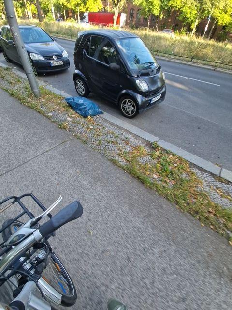 Foto zur Meldung: Abfall - Müllablagerung
