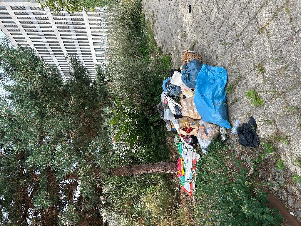 Foto zur Meldung: Abfall - Müllablagerung