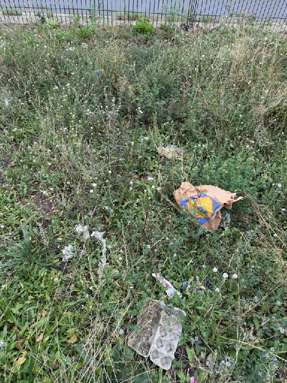 Foto zur Meldung: Straßenaufsicht - Mangelnde Straßenreinigung