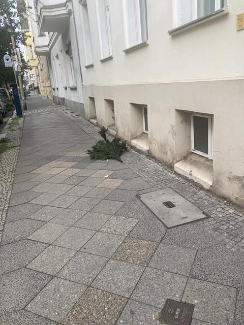 Foto zur Meldung: Abfall - Weihnachtsbäume